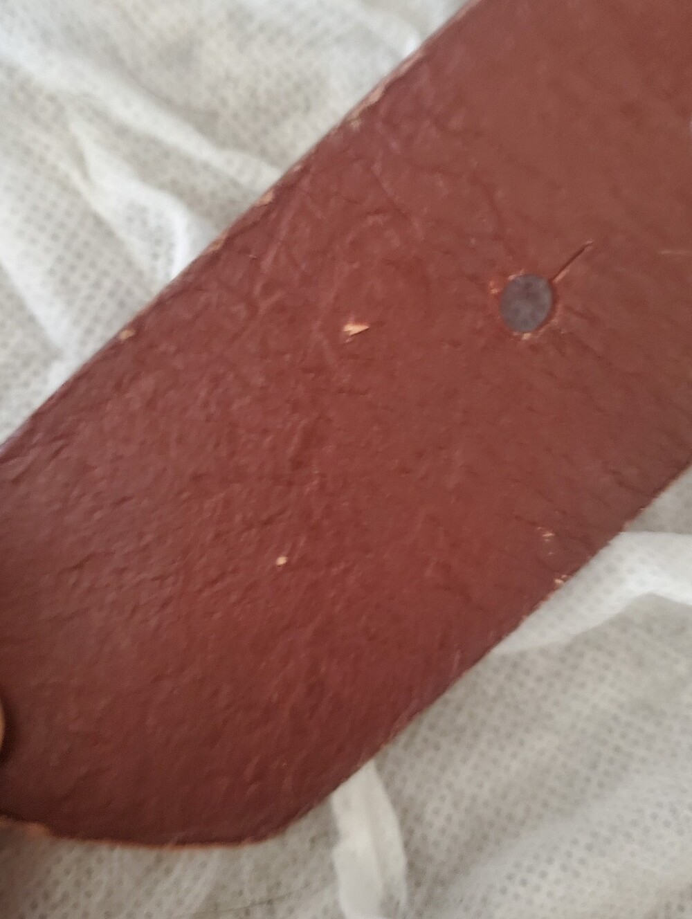 Belt - Picture 2 of 8